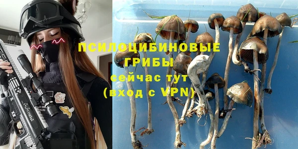 СК Михайловка