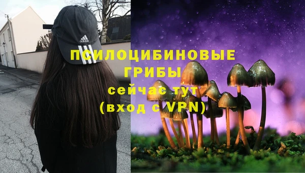 прущие крисы Снежинск