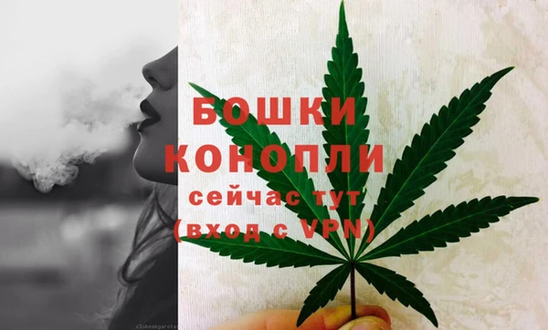 спиды Михайловск